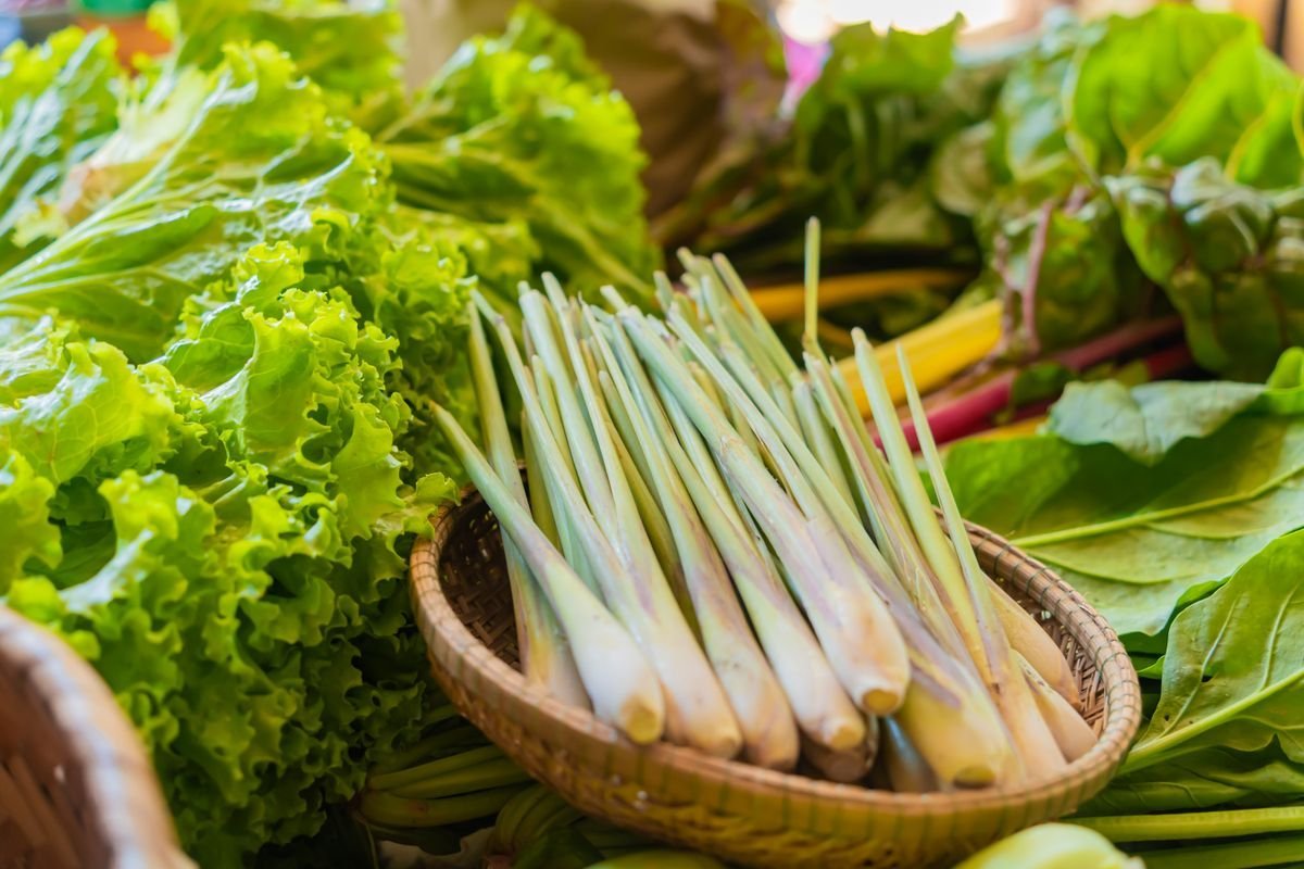 Gambi di citronella fresca in un cesto
