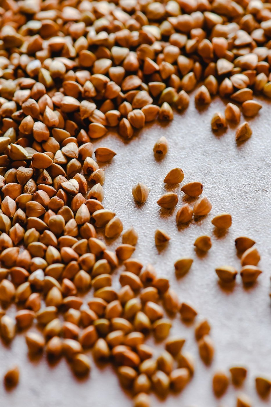 Grano saraceno tostato (kasha)