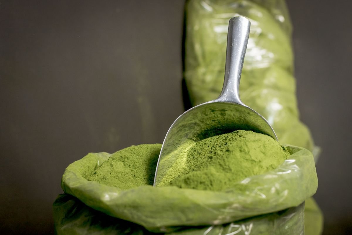 Moringa in polvere verde con paletta