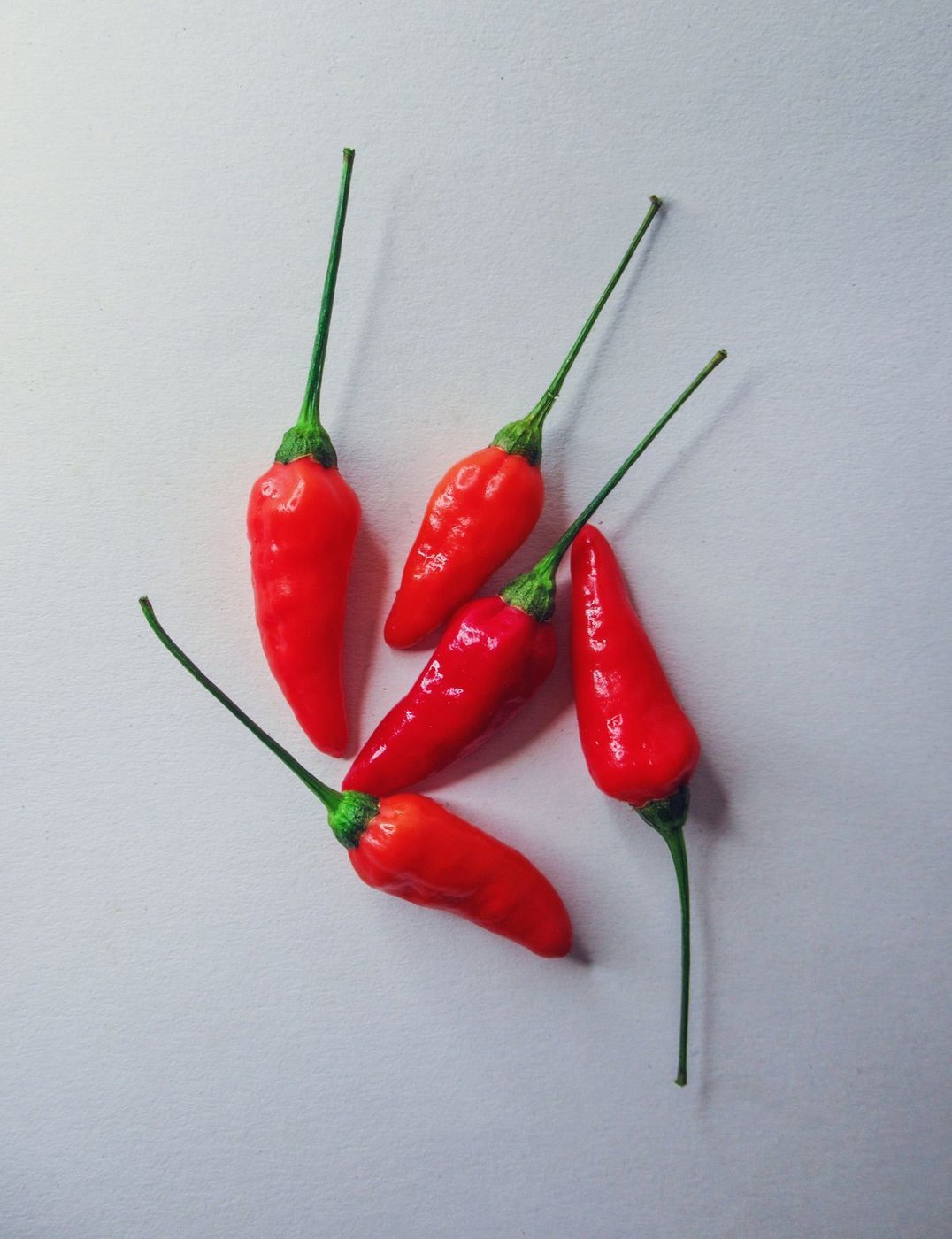 Peperoncini piri piri rossi