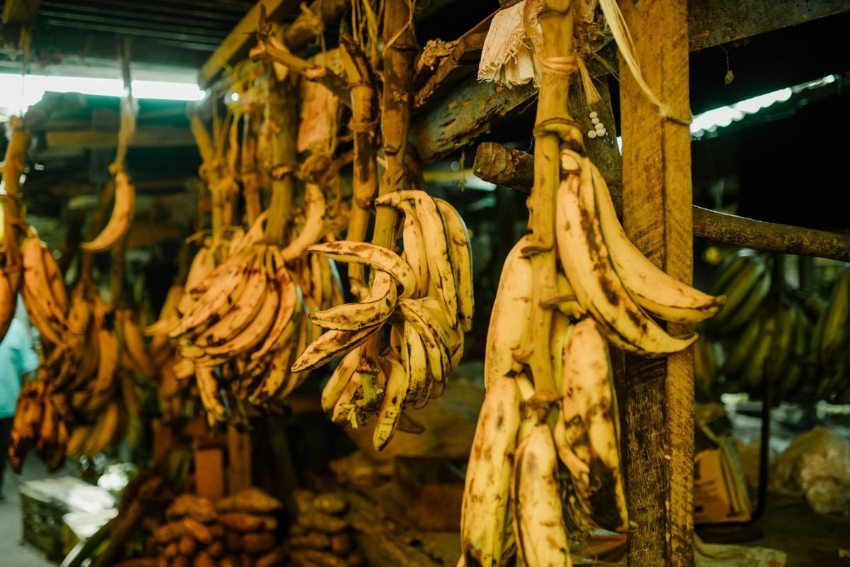 Platani da cottura appesi in un mercato