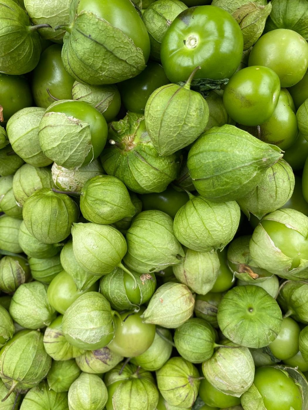 Tomatillo verdi nel loro cartoccio